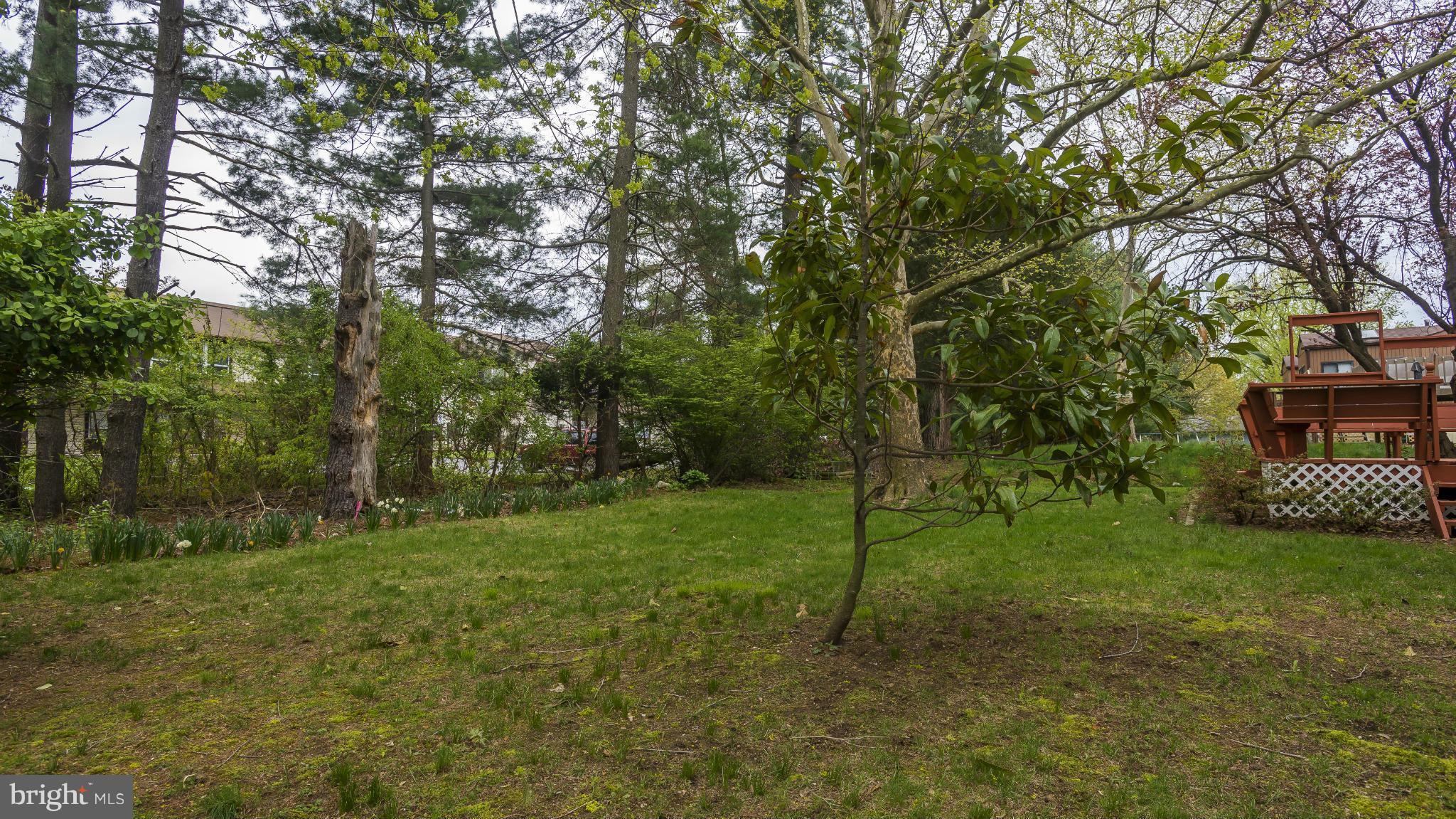 THUNDER HILL - Residential