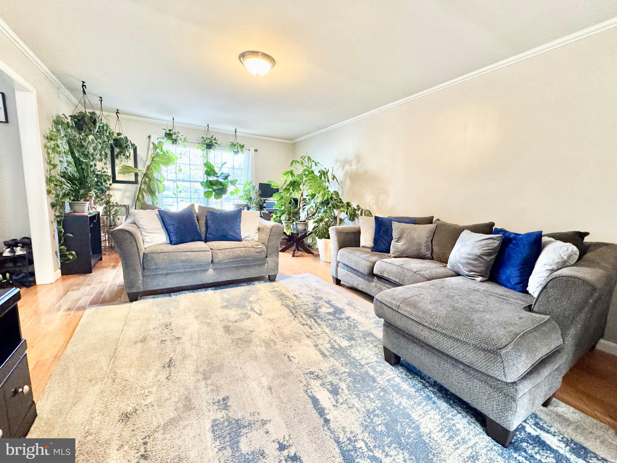 FELTON HGTS - Residential