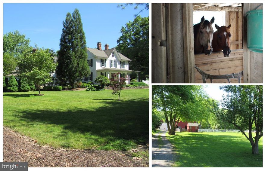 BRING YOUR HORSES! Home you always wanted with Upgraded kitchen; 2-story FR w/ wet bar, gleaming hardwoods & entertainment center; huge covered patio w/ built in grill & wet bar. New master bath w/ custom cabinetry, footed tub & separate shower. Property highlights: almost 32 Ac, 2 Ponds, Multiple Sheds, 2 Car Detached Garage w/ workshop, Updated Barn,Check out 3D Virtual Tour!