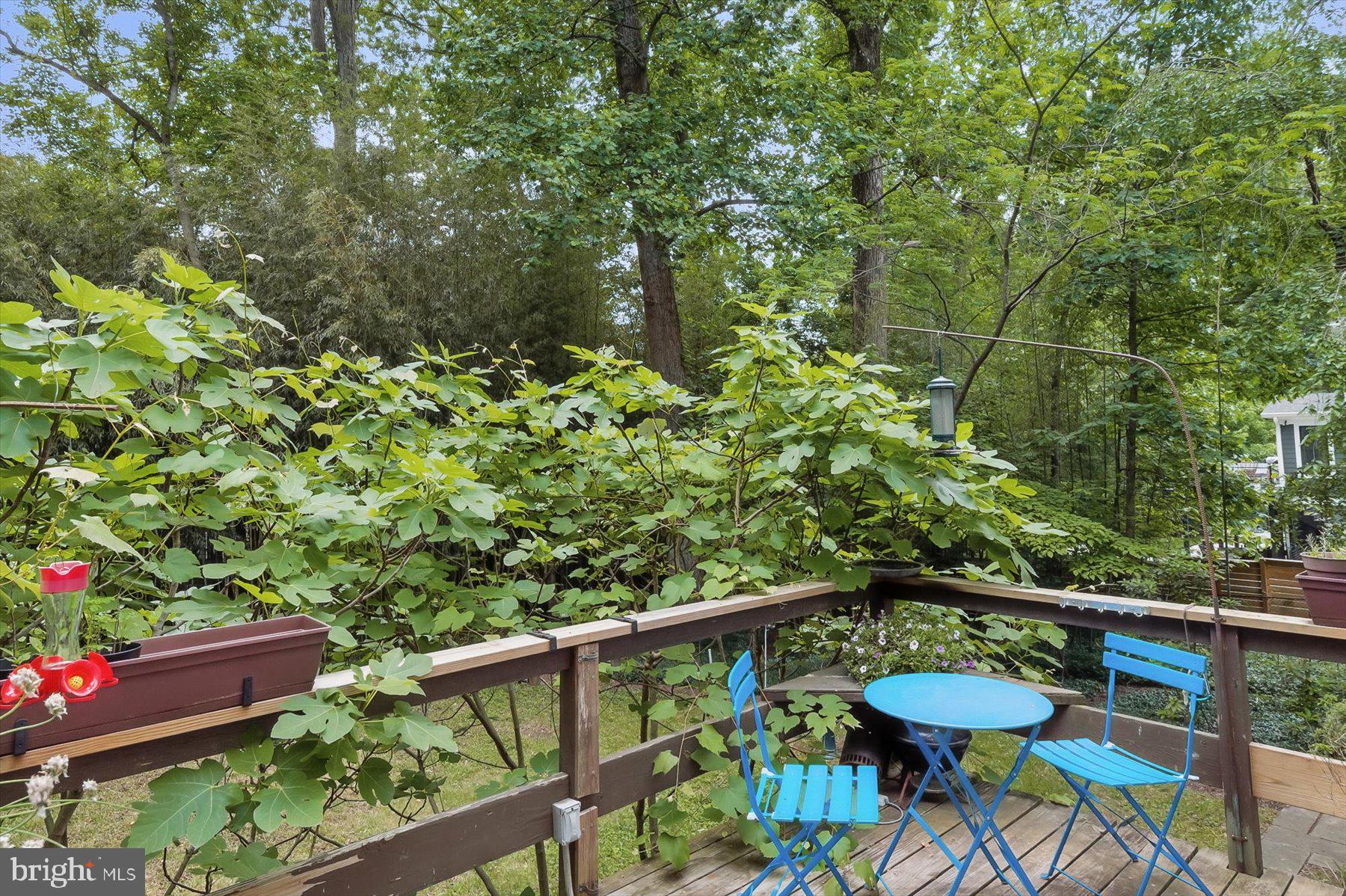 BANNOCKBURN HEIGHTS - Residential