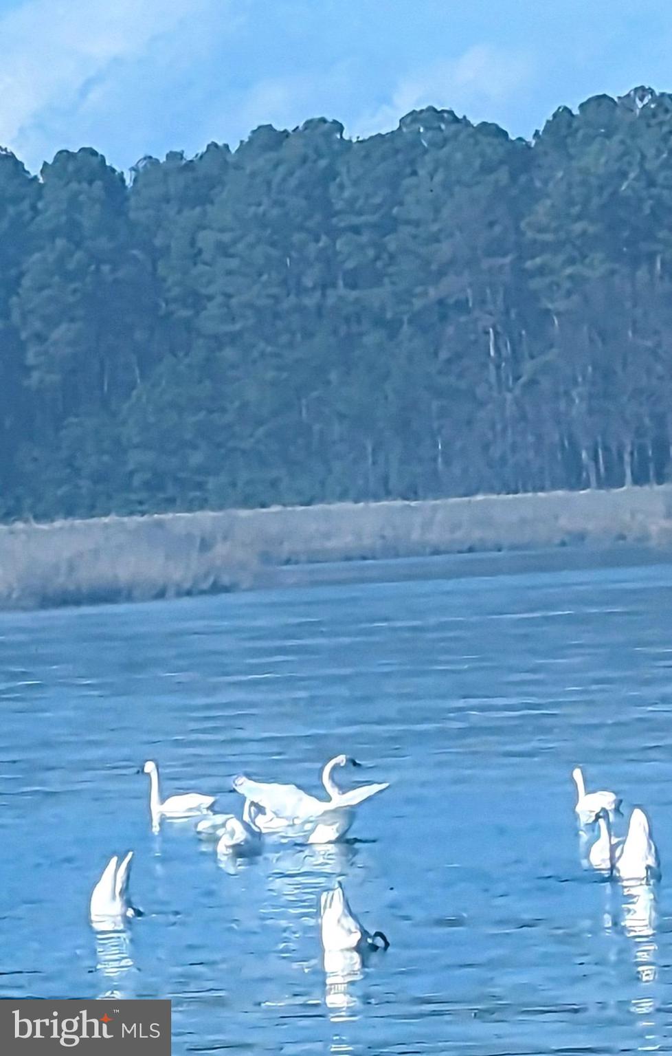 MARLING FARMS - Residential