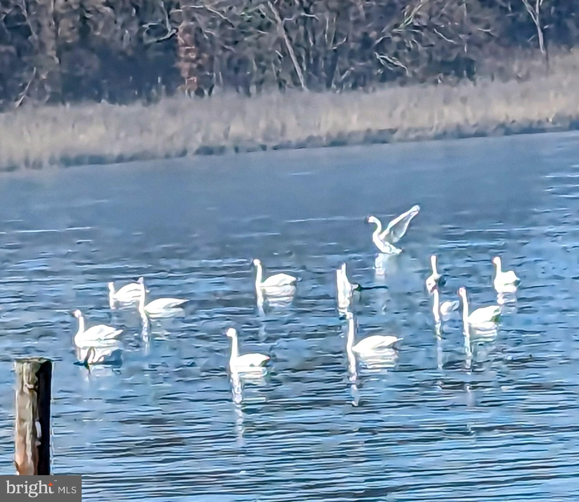 MARLING FARMS - Residential