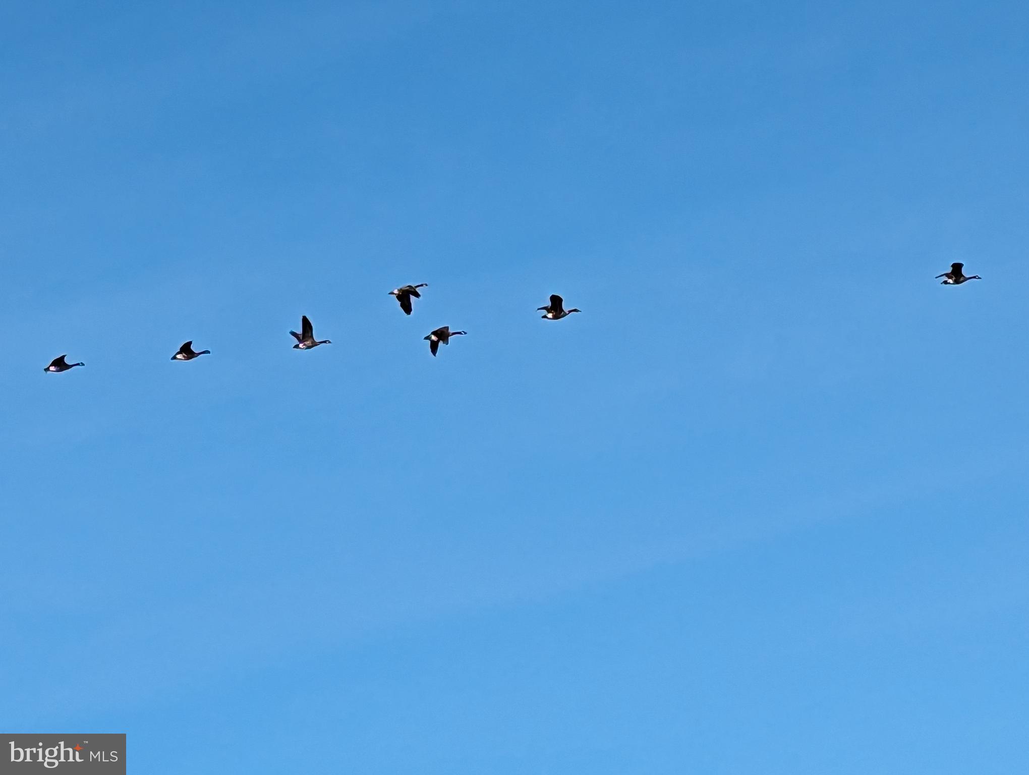 MARLING FARMS - Residential