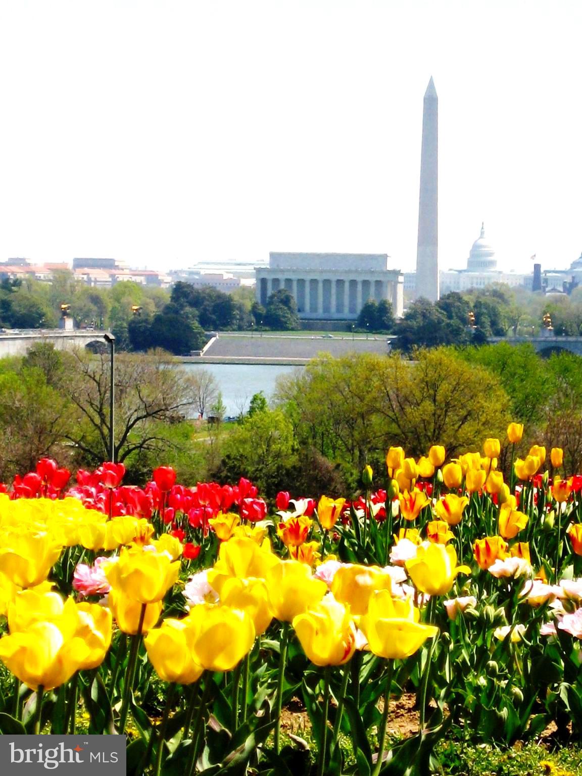 ROSSLYN - Residential