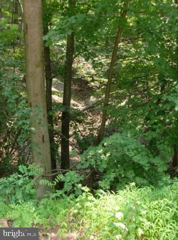 POTOMAC FOREST ESTATES - Land