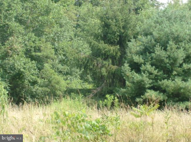 POTOMAC FOREST ESTATES - Land