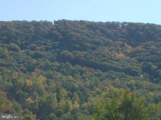 POTOMAC FOREST ESTATES - Land