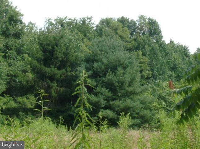 POTOMAC FOREST ESTATES - Land