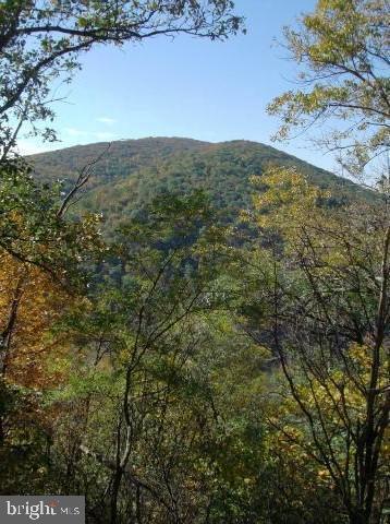 POTOMAC FOREST ESTATES - Land