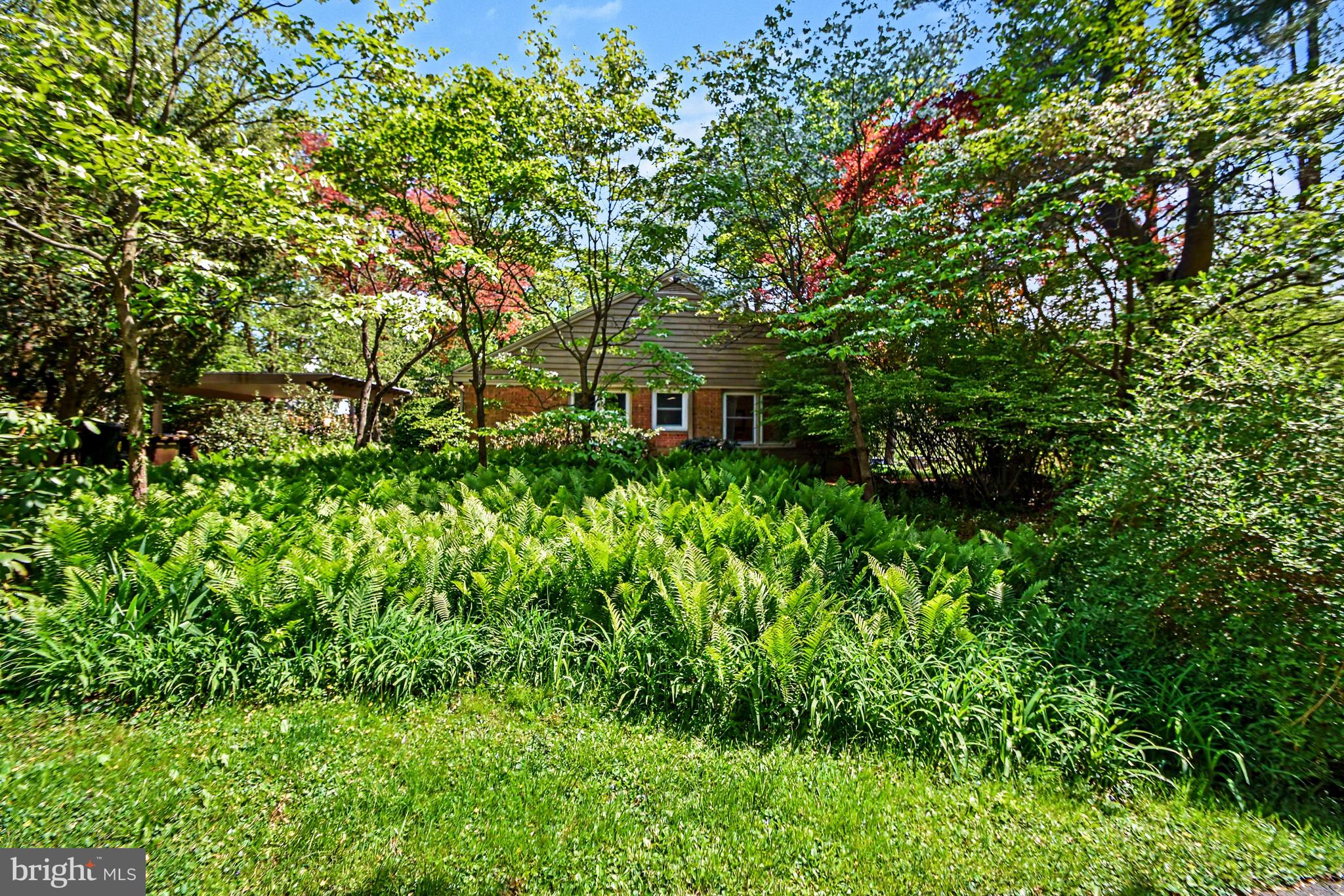 SCHUYLKILL TWP - Residential