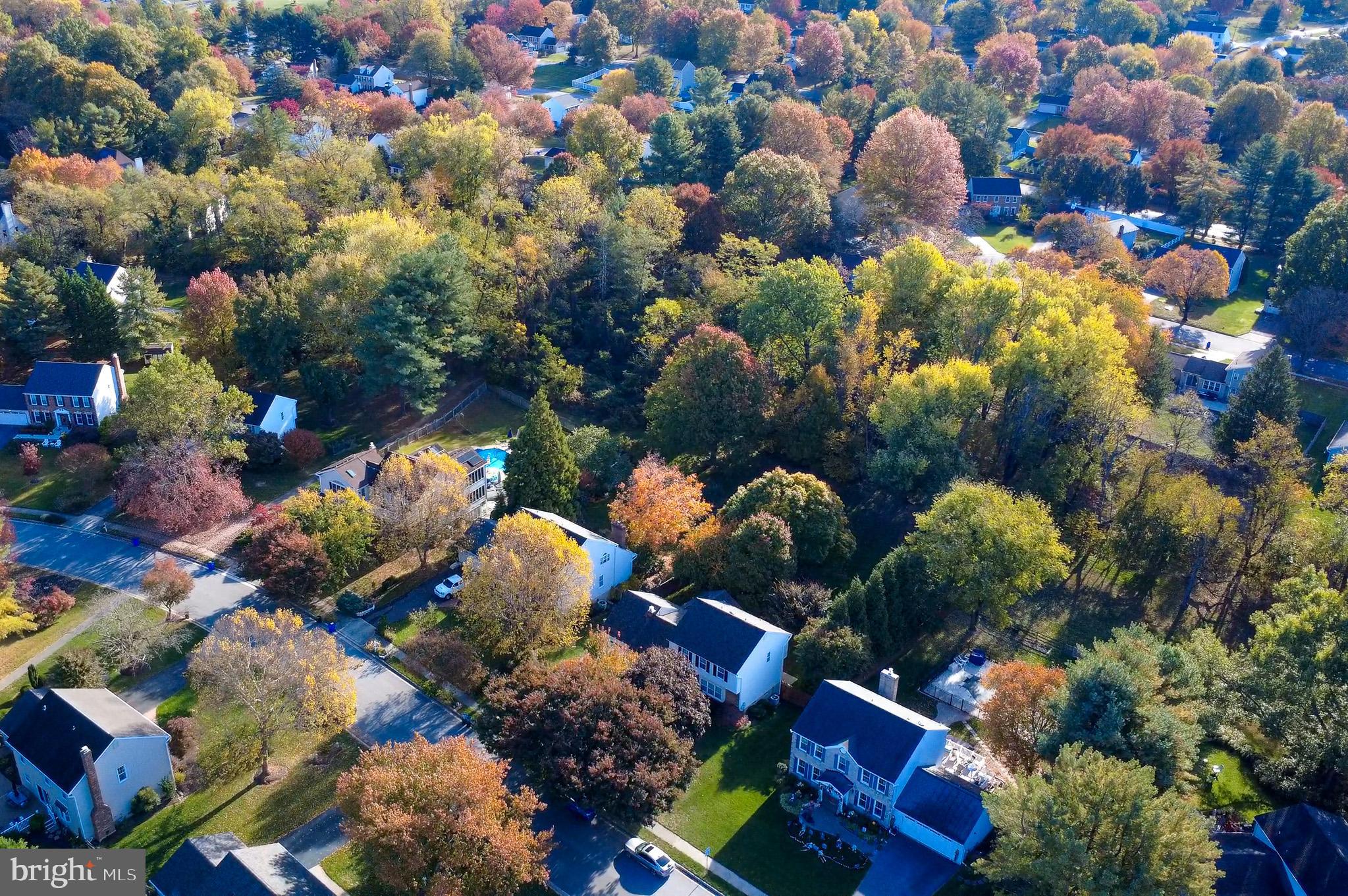 BRAMPTON HILLS - Residential