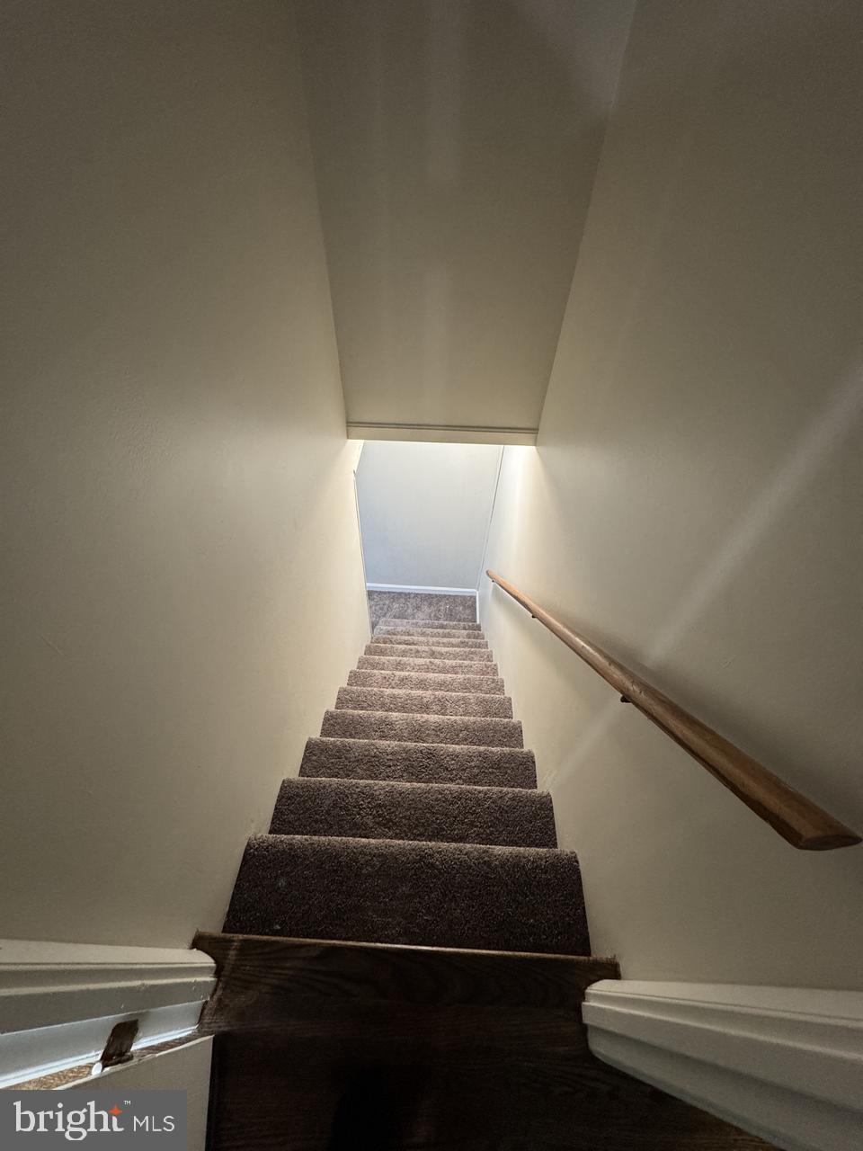 DIANNA WOODS PYL - Residential Lease