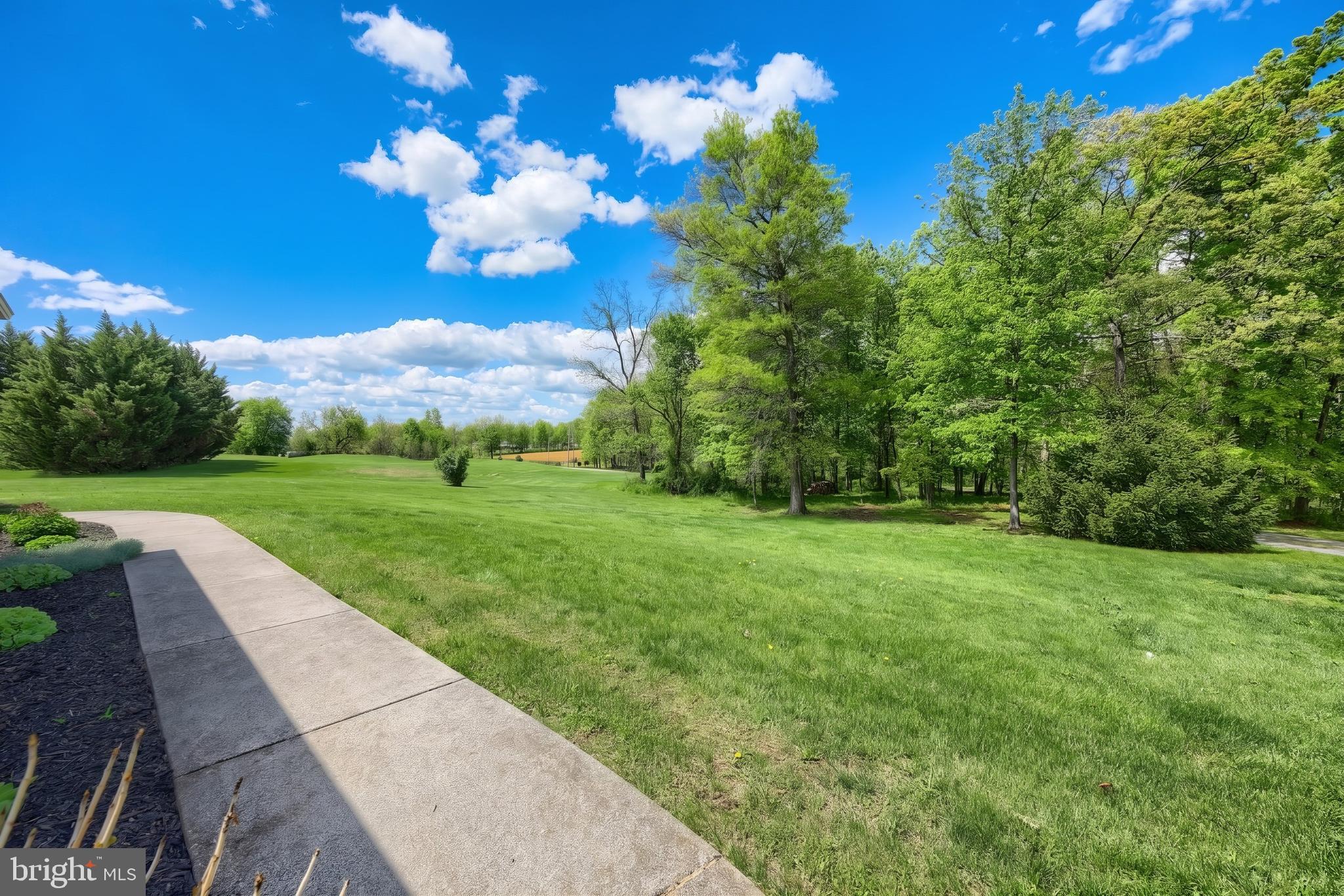 BELMONT ROAD - Residential