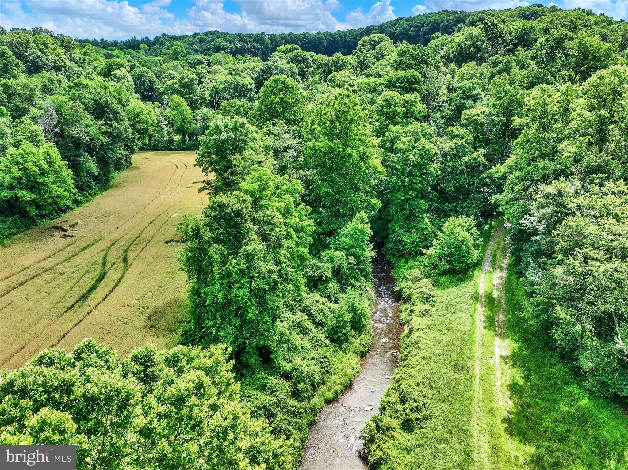 WHITE HALL - Residential