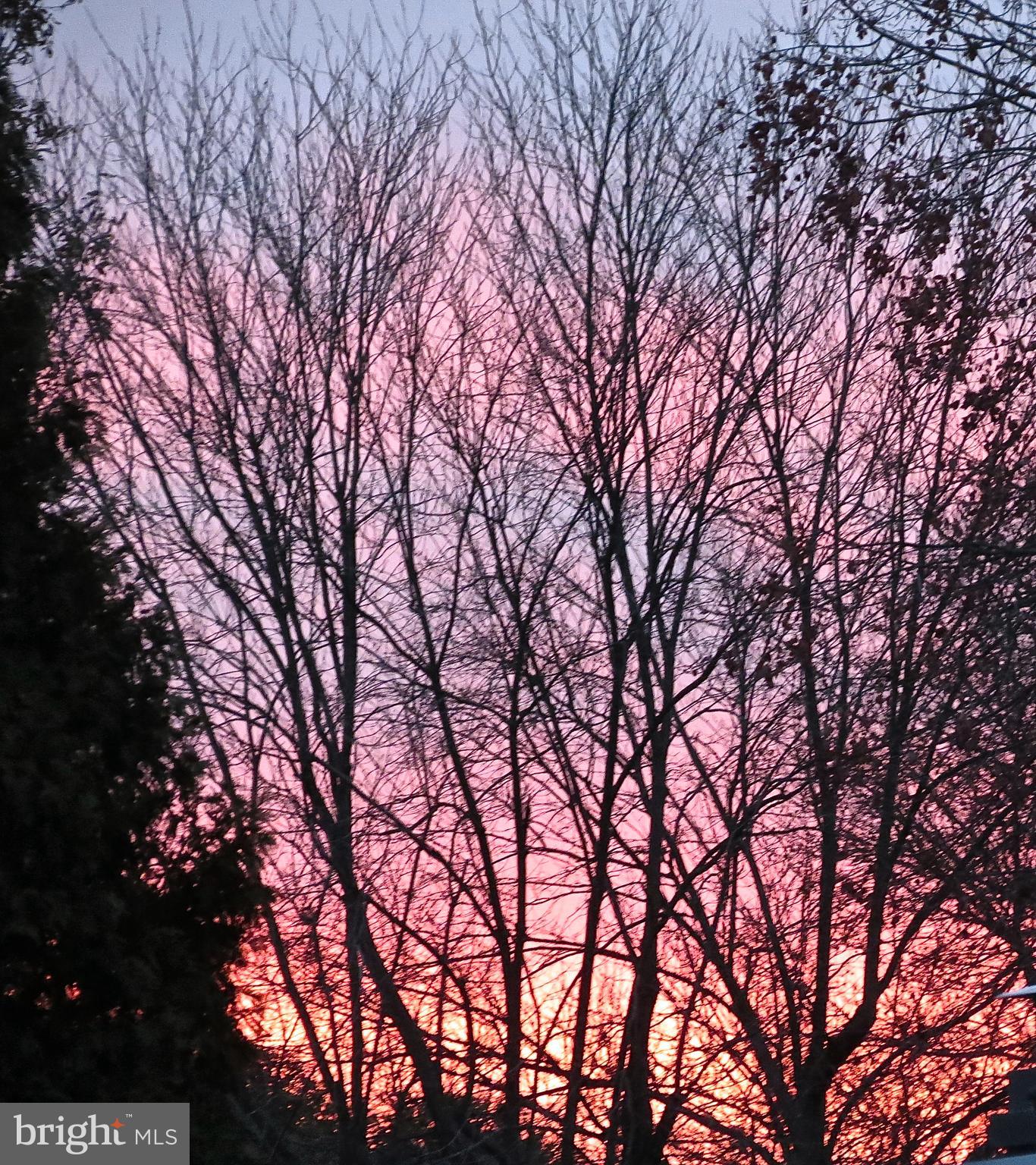 STEVENSON - Residential