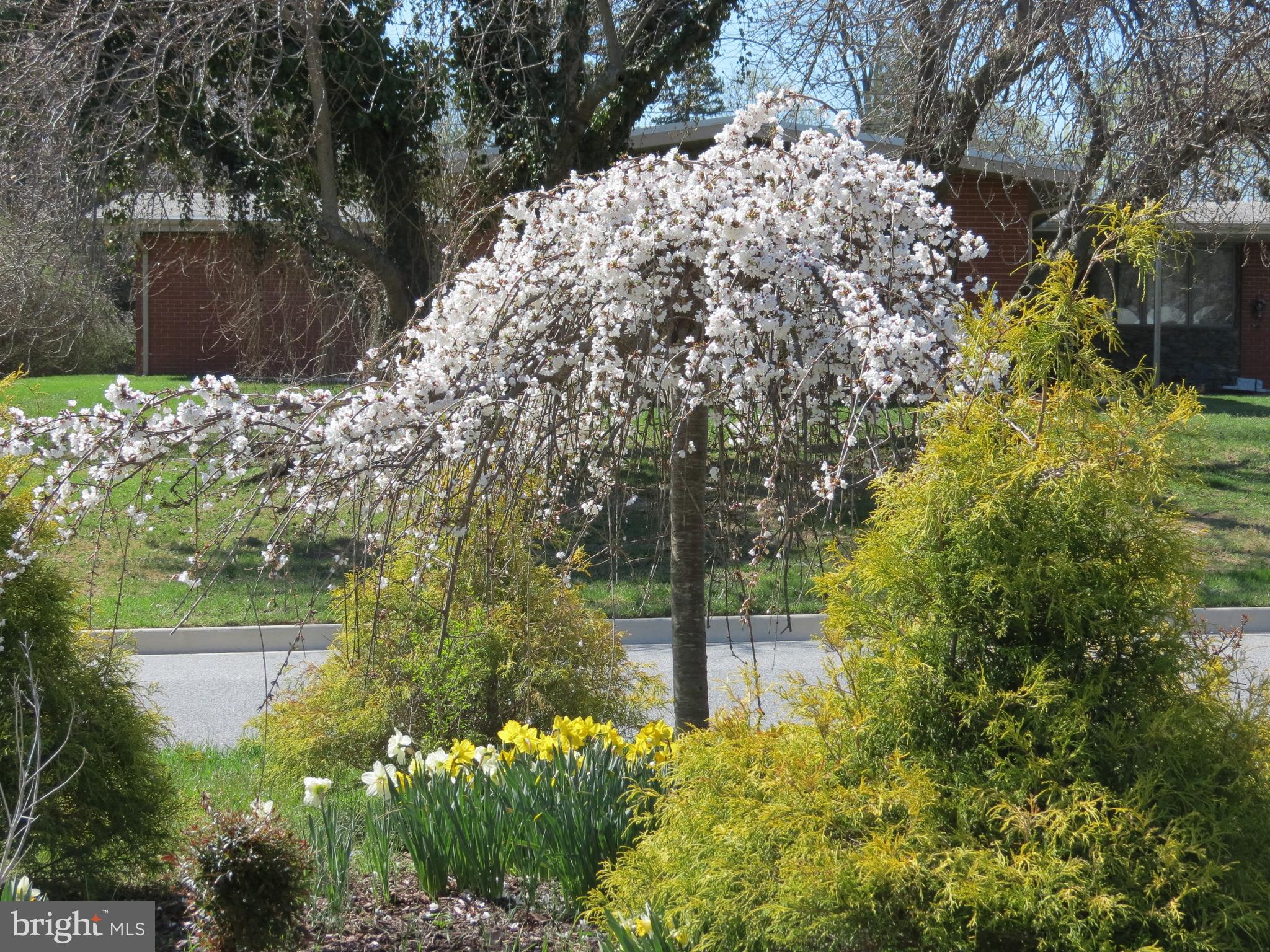 STEVENSON - Residential