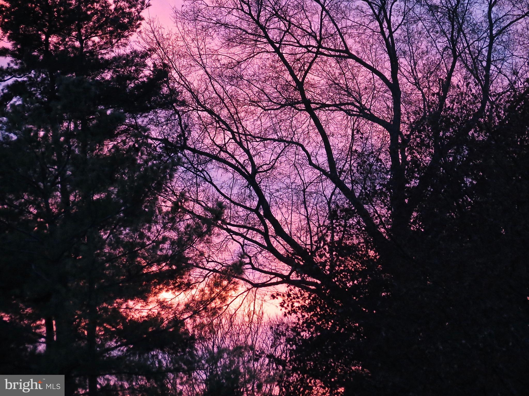 STEVENSON - Residential