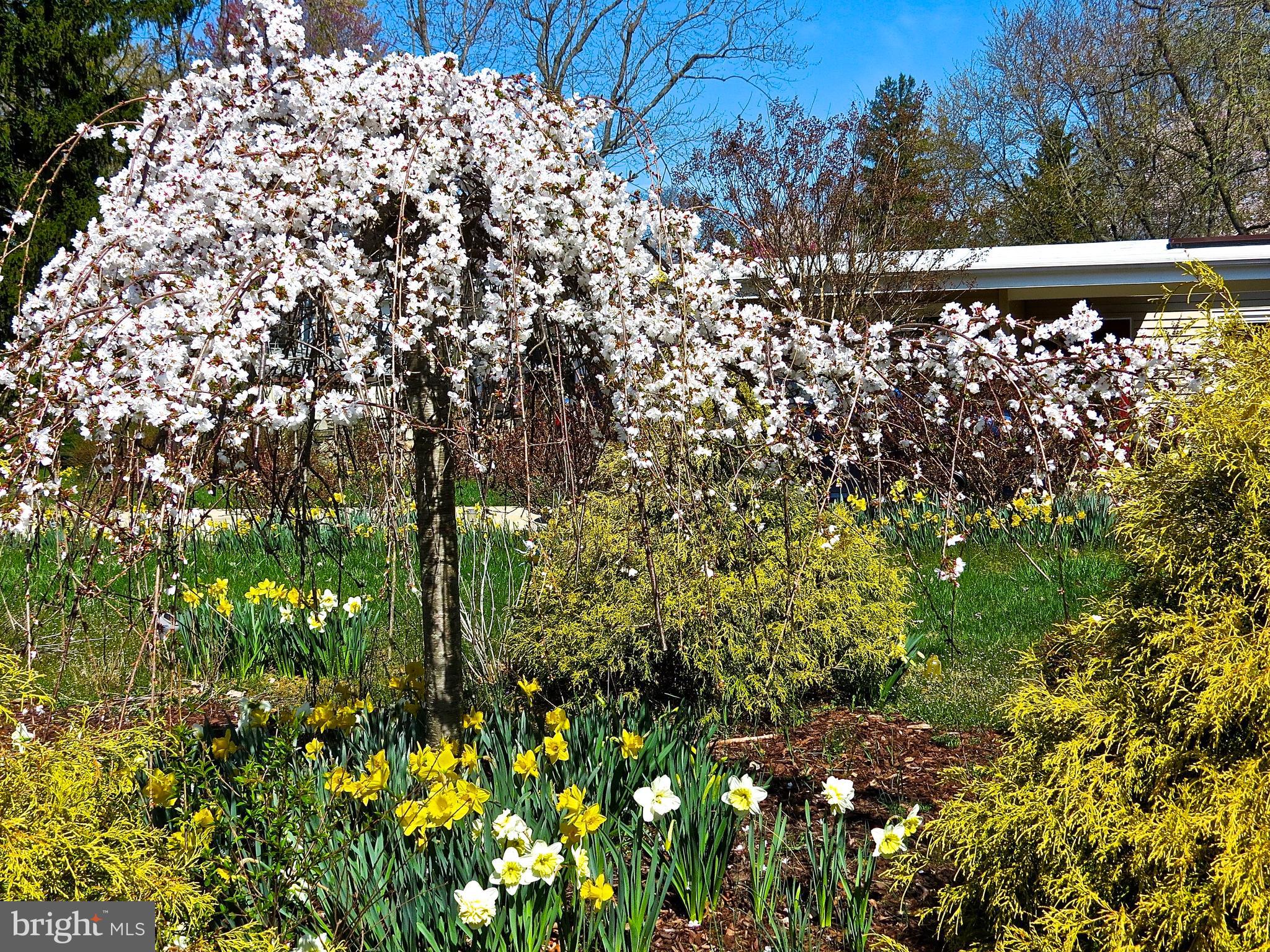 STEVENSON - Residential