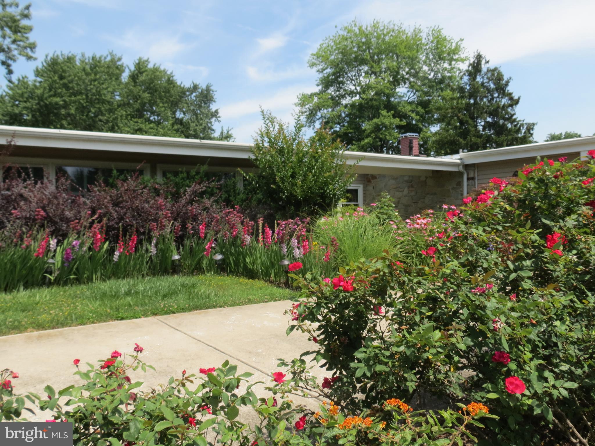 STEVENSON - Residential