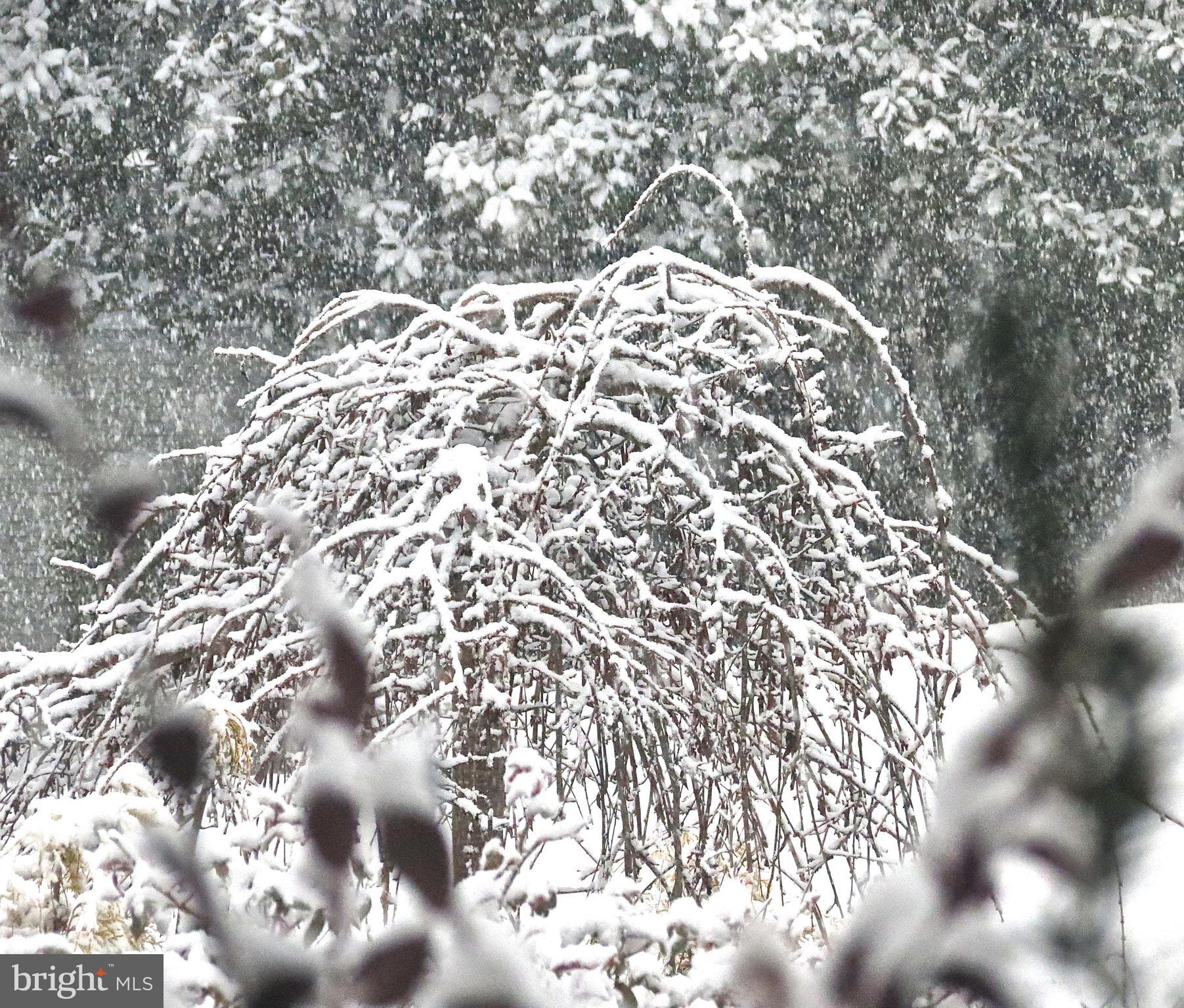 STEVENSON - Residential