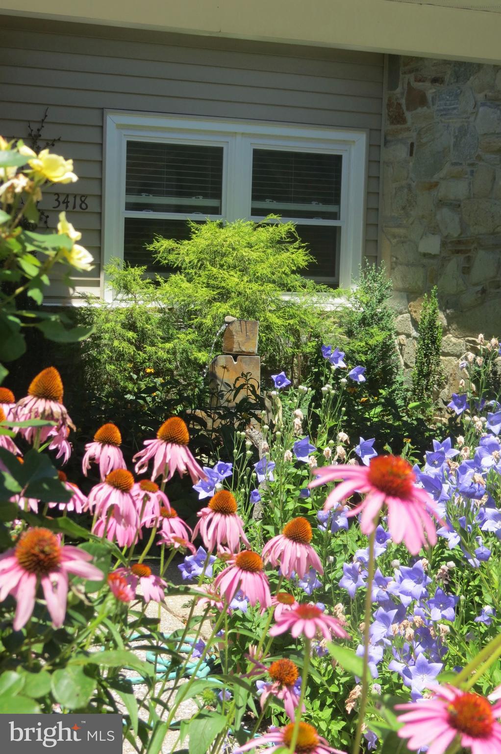 STEVENSON - Residential