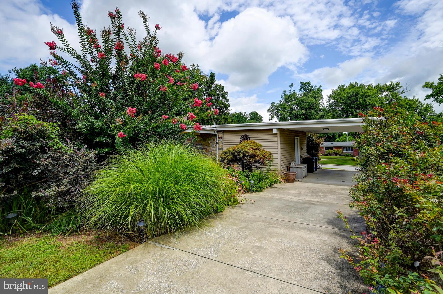 STEVENSON - Residential