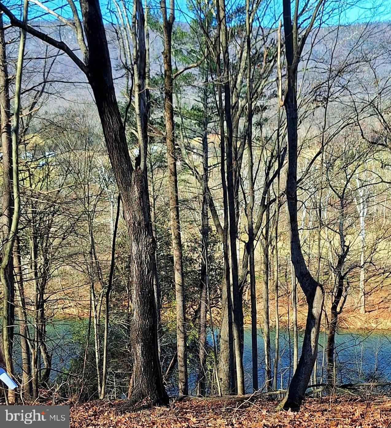 LOT 10 KAUFFMANS MILL ROAD