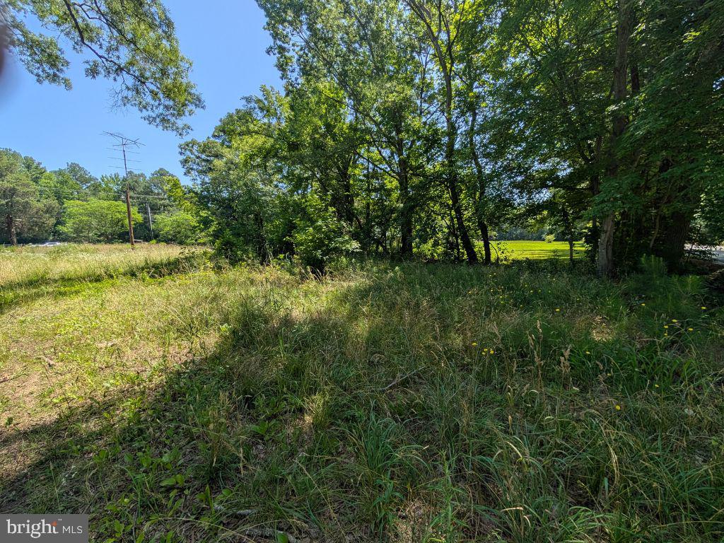 20225 POINT LOOKOUT ROAD