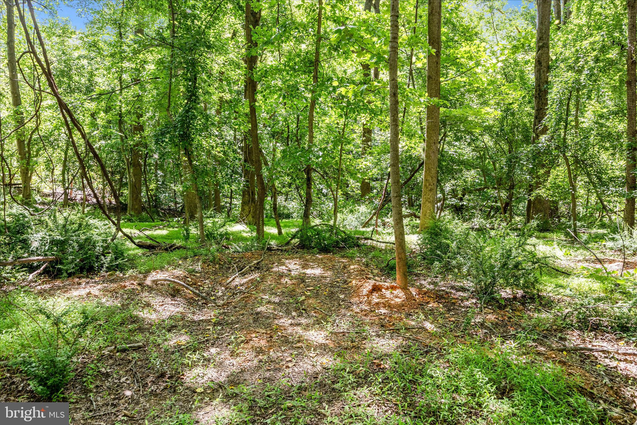 HARPERS FERRY ROAD