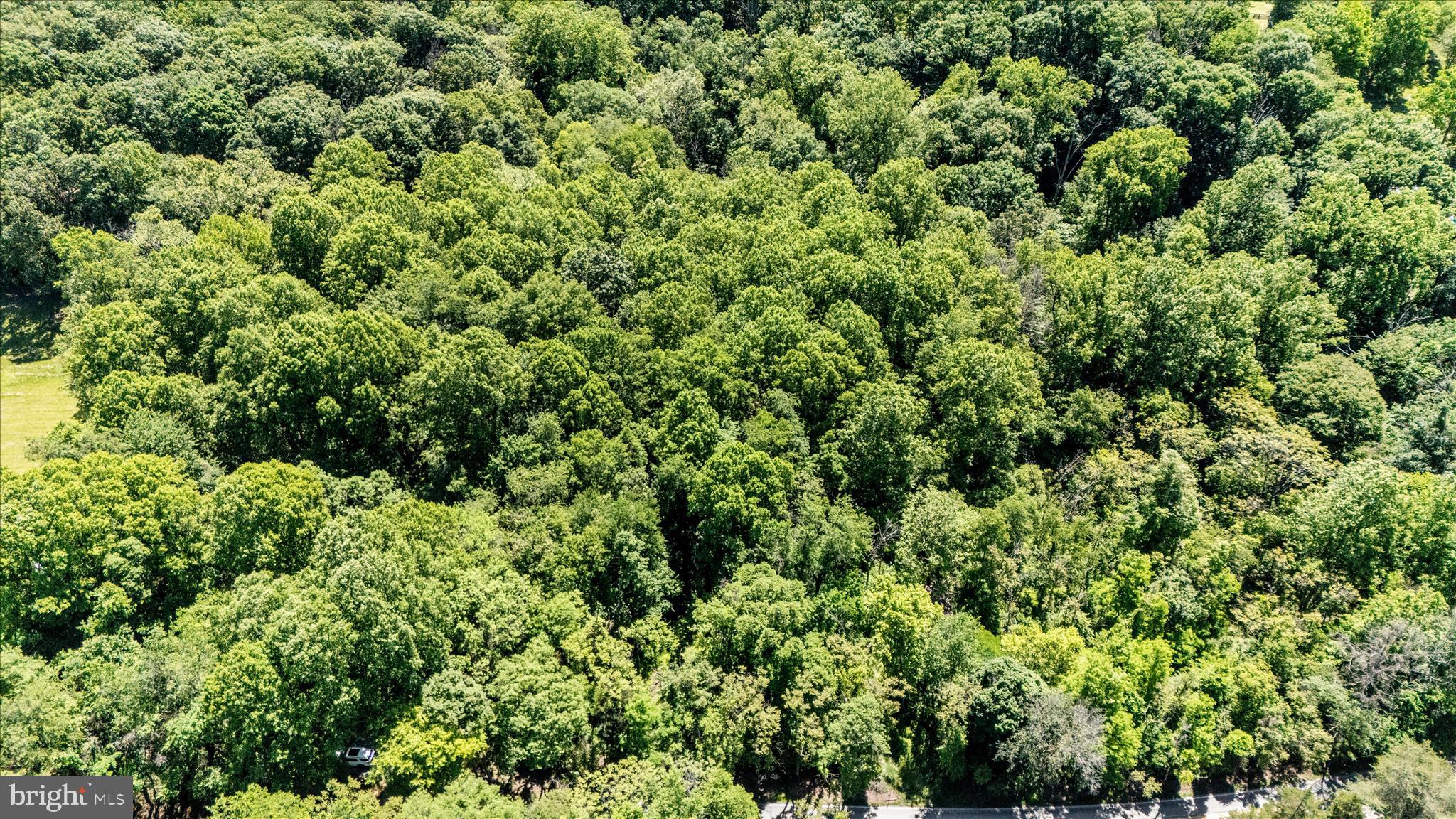 HARPERS FERRY ROAD