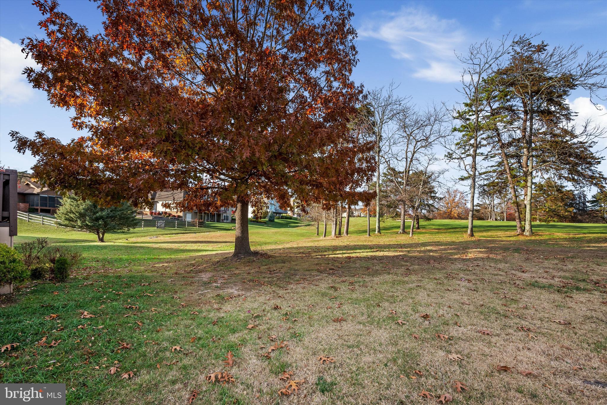 THE WOODS - Residential