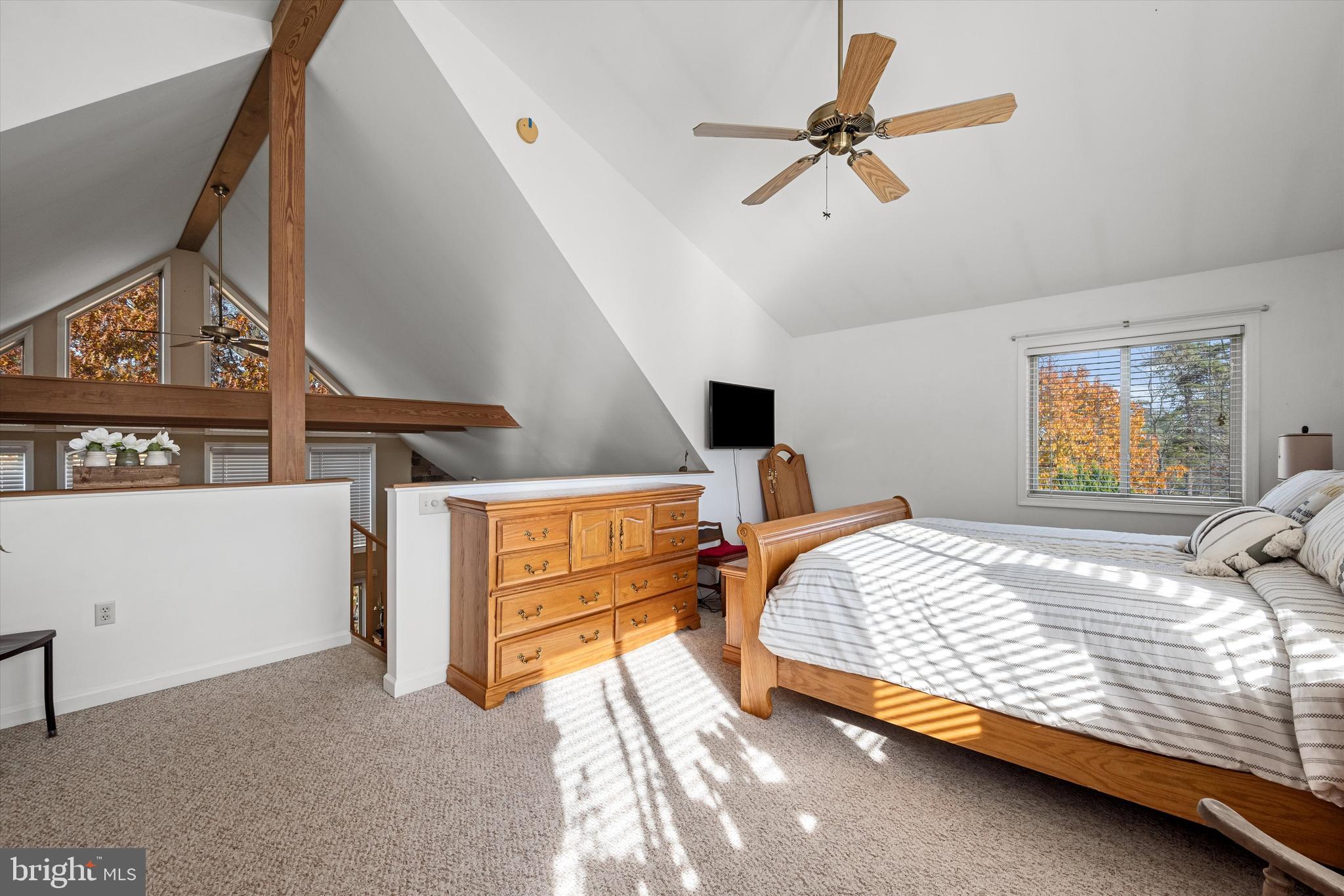 THE WOODS - Residential