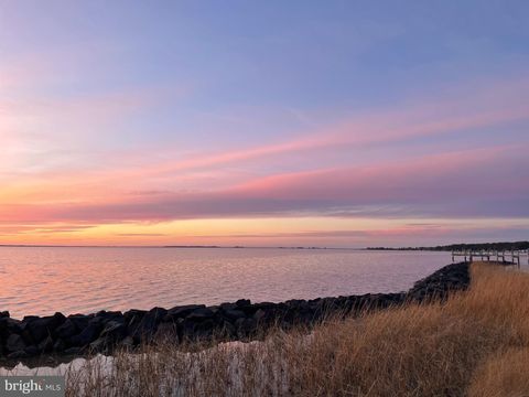 Vacant Land For Sale - 20160 Nanticoke Road<br/> NANTICOKE, MD 21840