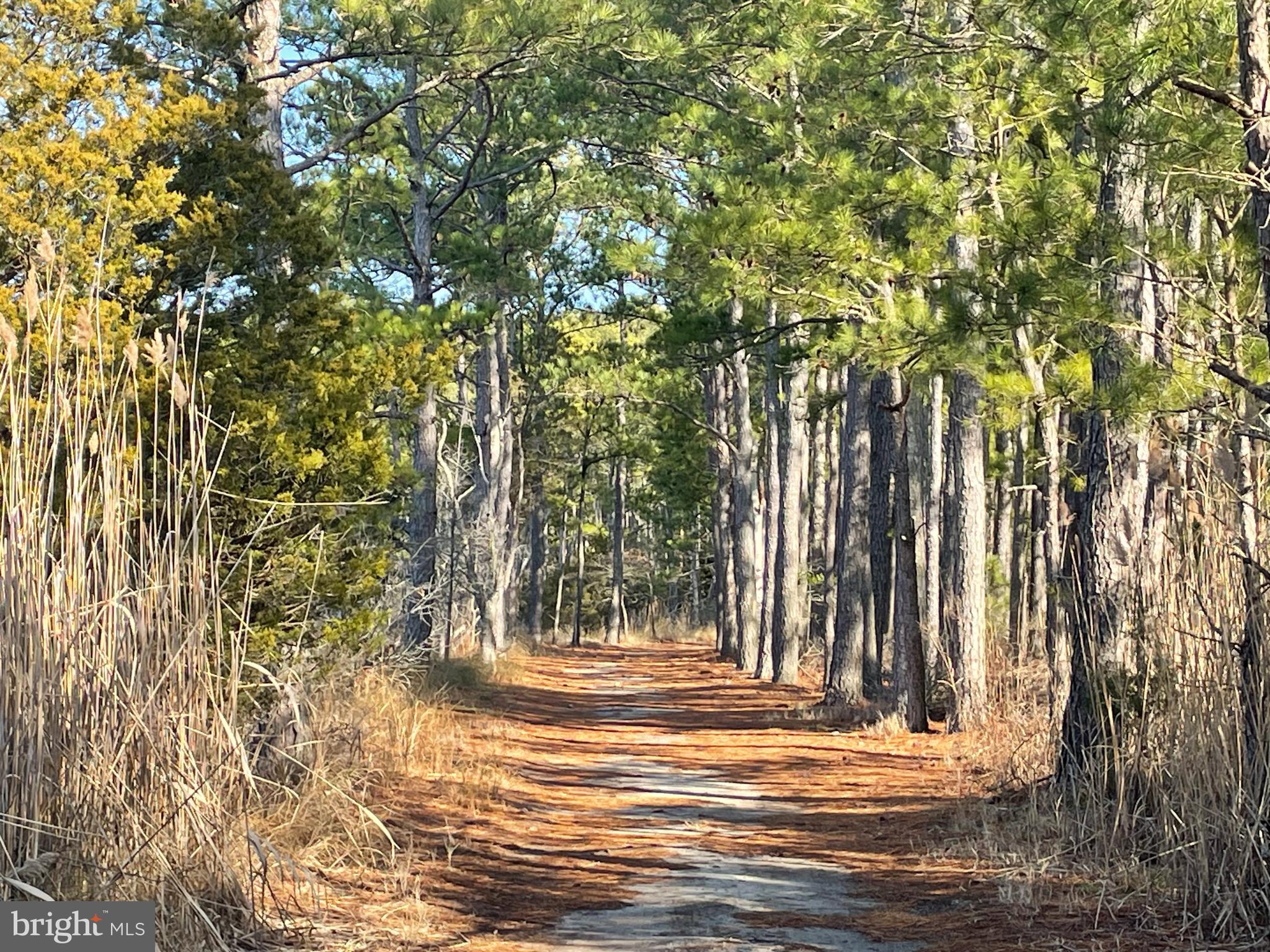 WATERVIEW ESTATES - Land