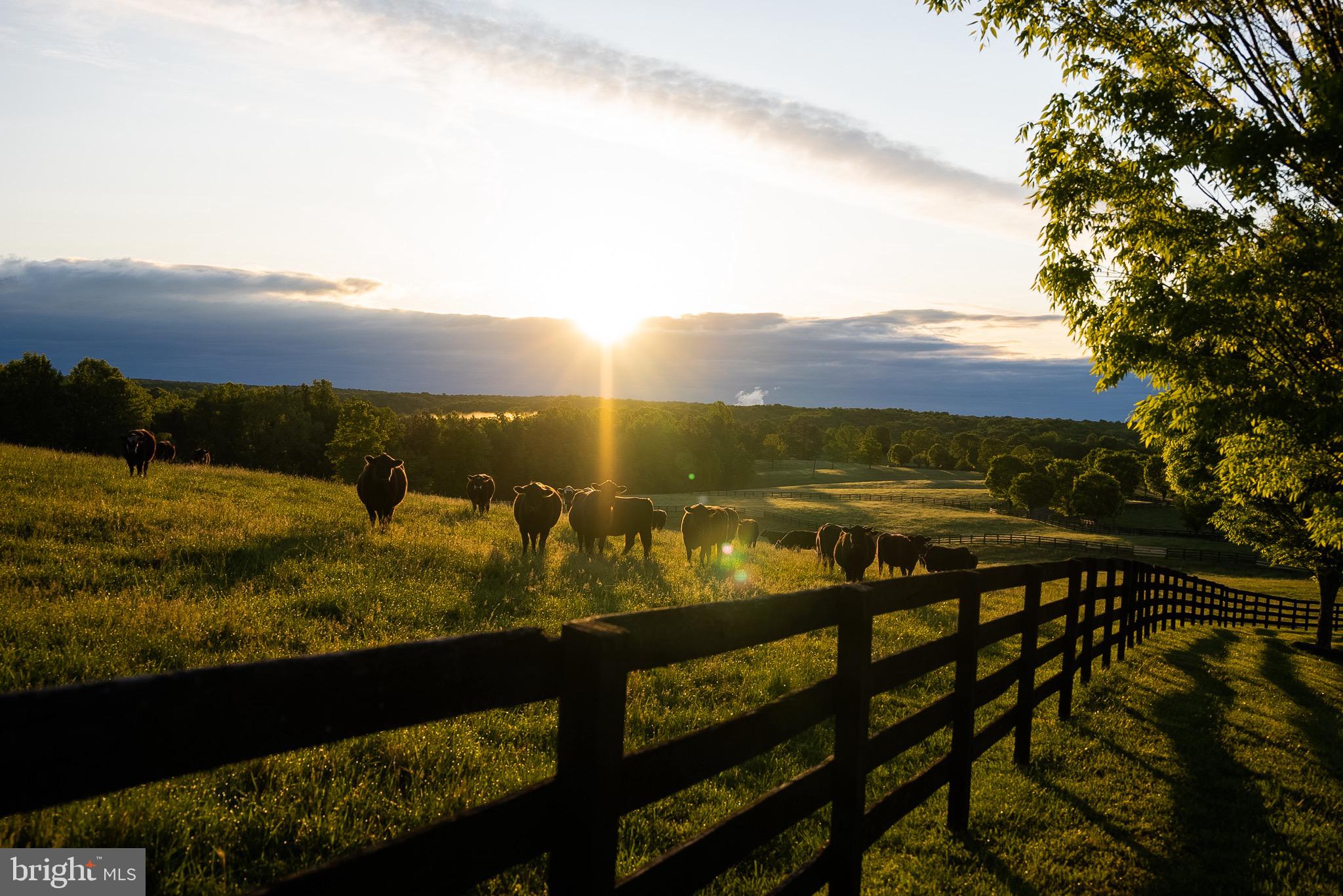 510 MOUNT PLEASANT FARM ROAD