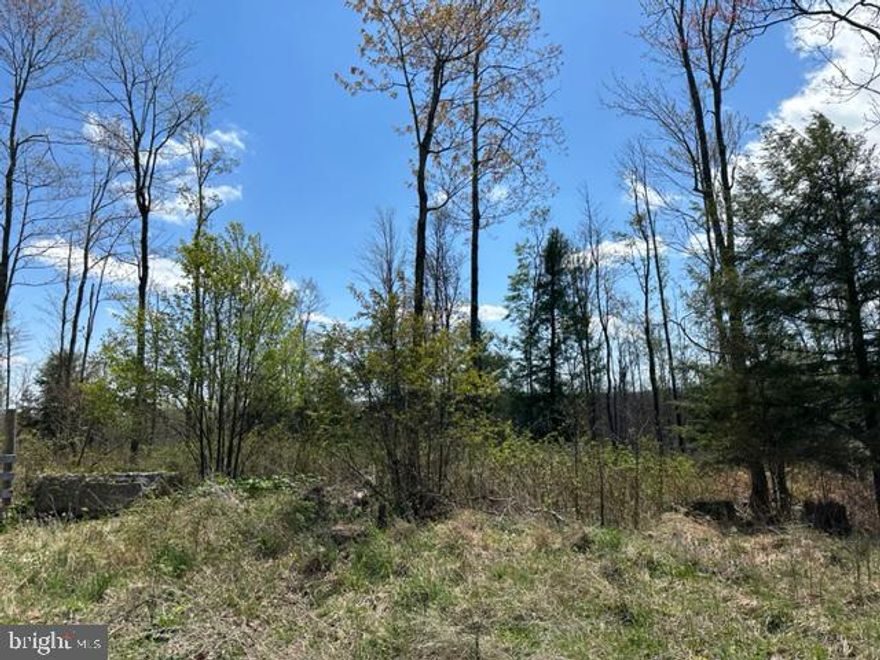 MT. STORM - 21.05 ACRES SUBDIVIDED INTO SEVEN (7) BUILDING LOTS IN "CHERRY VIEW ACRES". LOTS RANGE IN SIZE FROM 2.3 ACRES TO 4 ACRES. PUBLIC WATER AND ELECTRIC ON SITE AND ALL LOTS ARE "PERC TESTED". FRONTAGE ON "CHERRY RIDGE ROAD". LEVEL BUILDING LOTS, FULLY WOODED, PUBLIC UTILITIES.