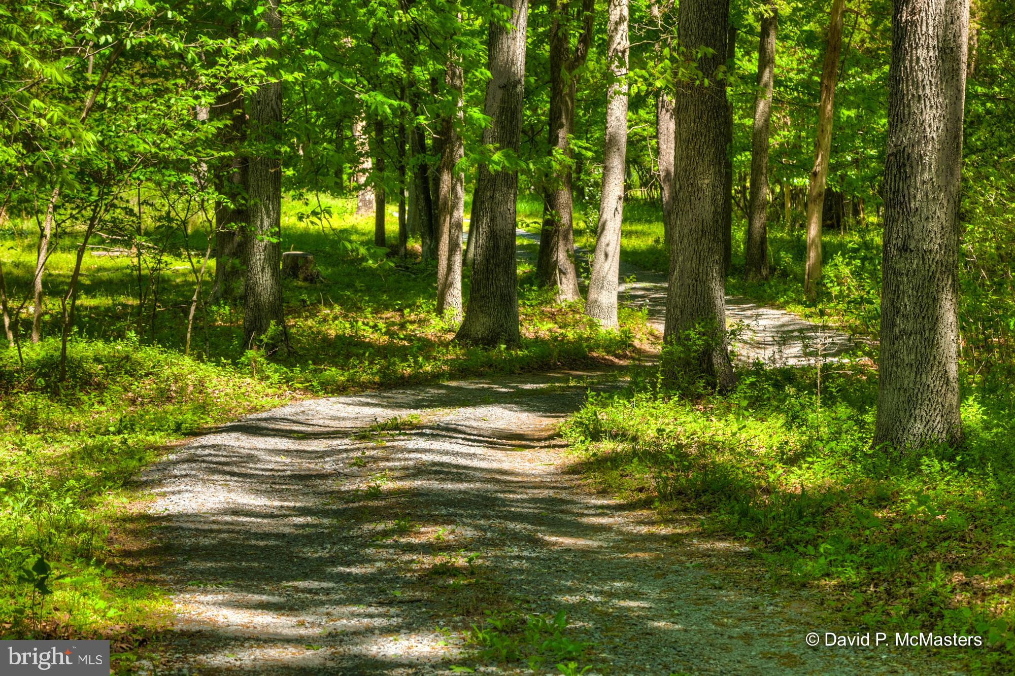 WHITINGS NECK - Farm