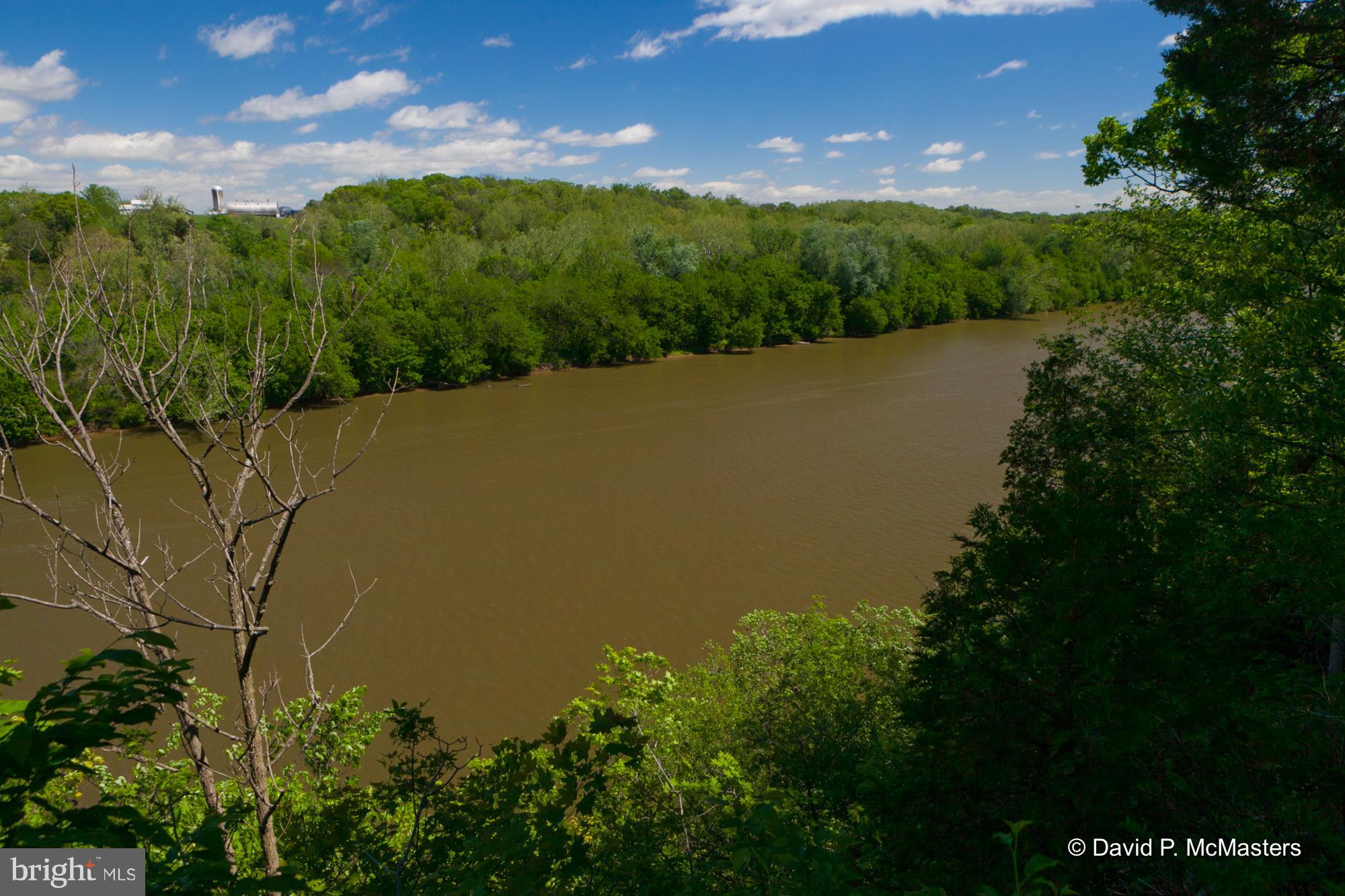 WHITINGS NECK - Farm