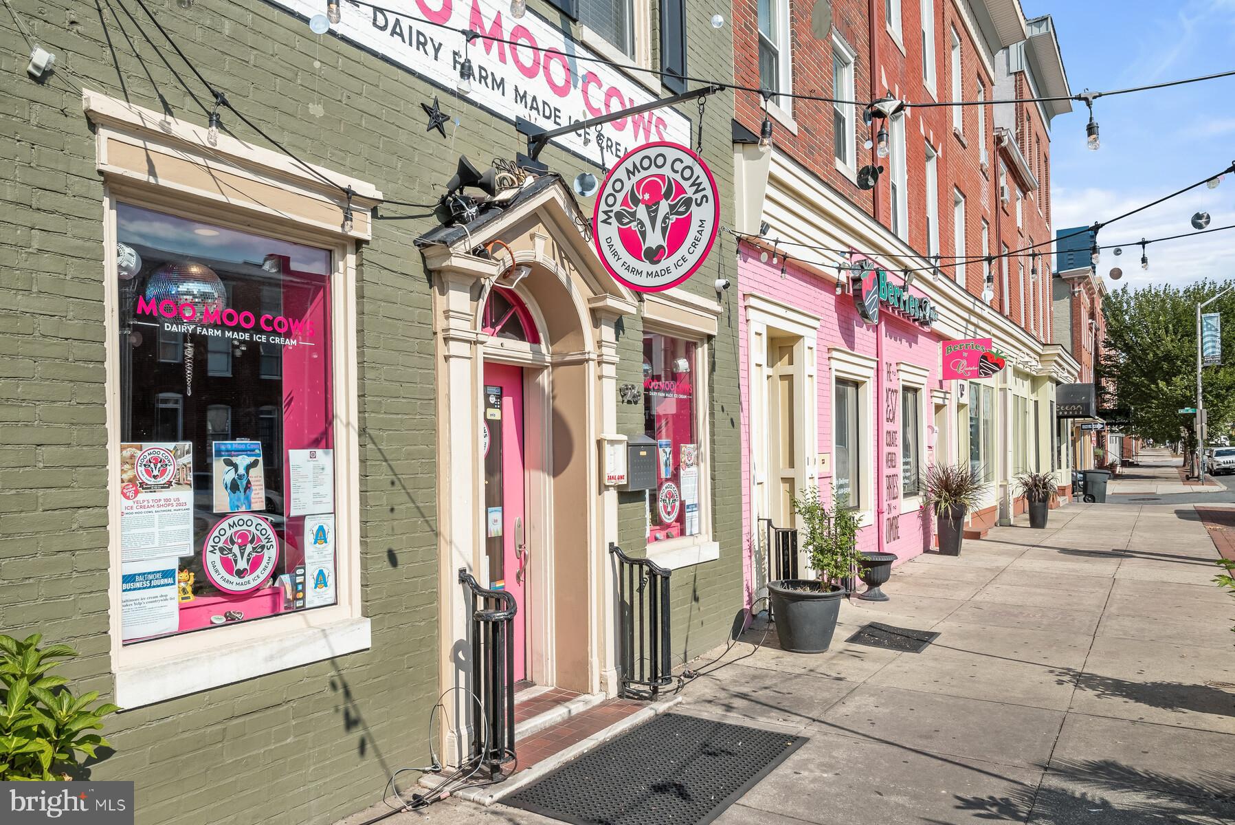 FEDERAL HILL HISTORIC DISTRICT - Residential