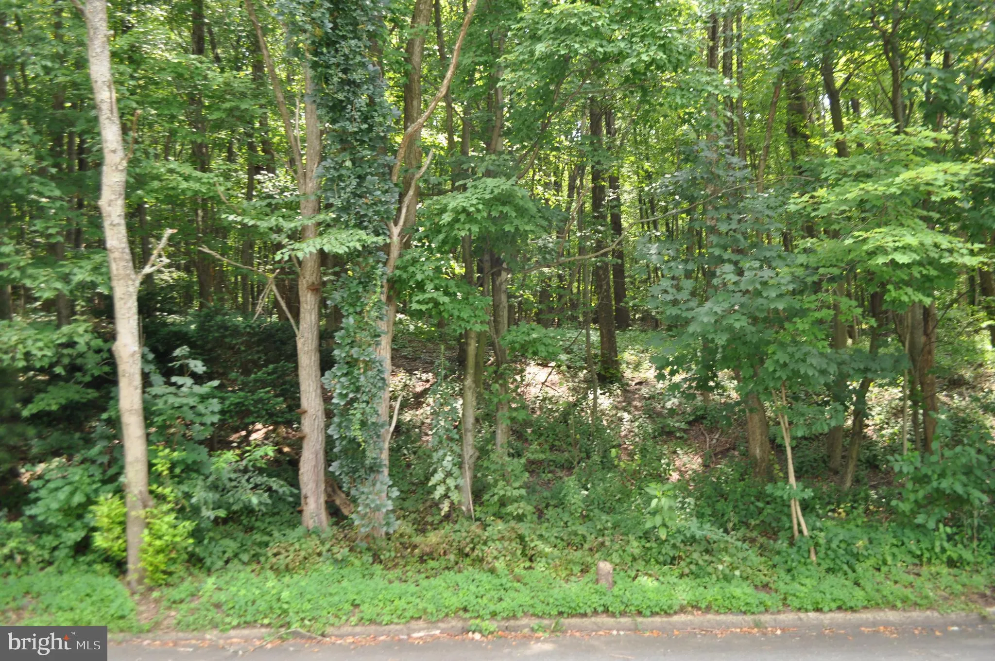 Pottsville, Pennsylvania 17901, United States, ,Land,Active,129289 Pottsville, Pennsylvania 17901, United States, ,Land,Active,129289