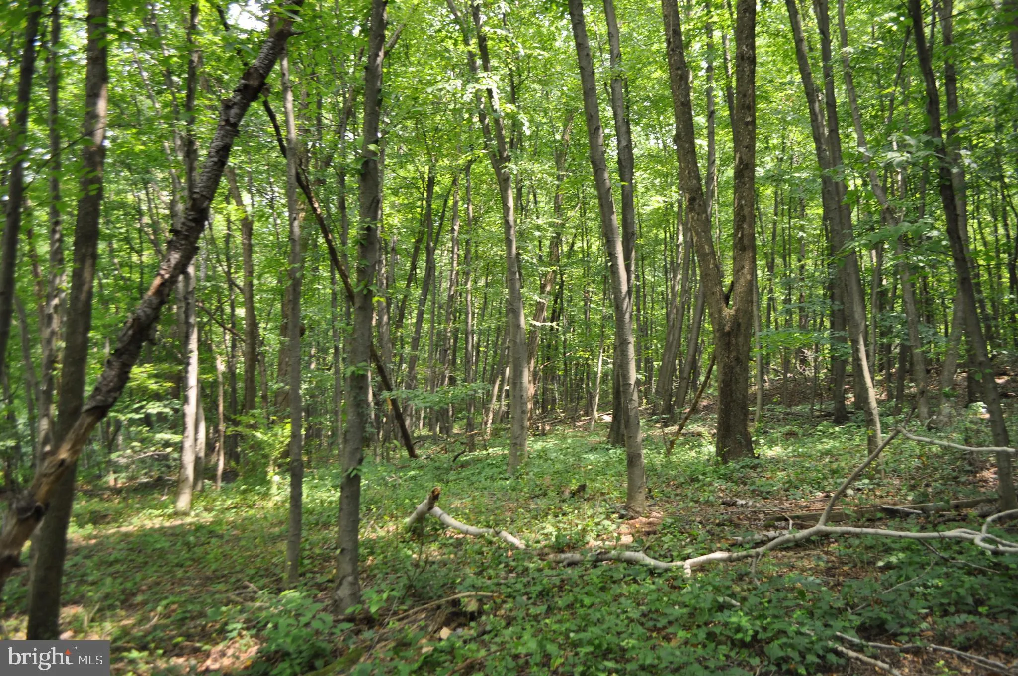 Pottsville, Pennsylvania 17901, United States, ,Land,Active,129289