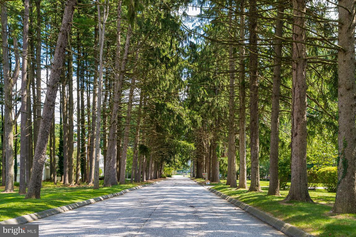 THE PINES AT DEEP RUN - Residential