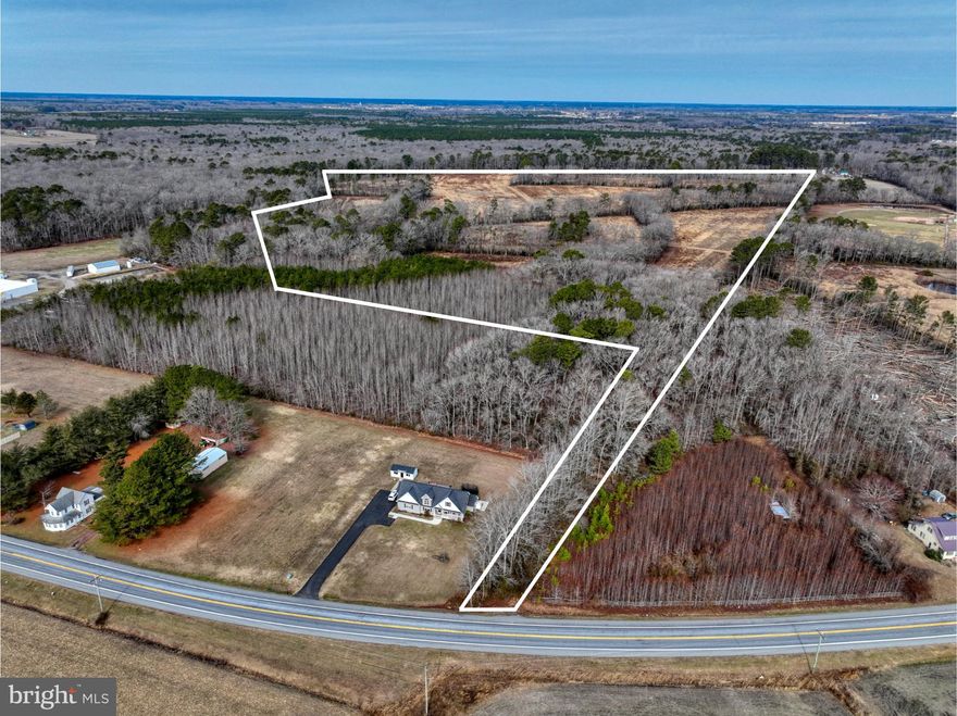 This 116+/- acre property, positioned for rapid development, is adjacent to sewer access and Dagsboro town limits—offering a prime opportunity for residential or mixed-use development. The land is centrally located near key amenities, including restaurants, grocery stores, golf courses, marinas, and fresh produce markets, with Bethany Beach just about 10 miles away via Rt. 26. This listing includes two parcels (233-10.00-72.00 & 233-10.00-73) with the potential option to acquire an additional adjacent parcel, enhancing frontage on 9 Foot Rd and increasing buildable lot potential. Water and sewer infrastructure  close by, reducing development costs. With the area's growing demand for housing, this property is an ideal site for a residential community, retirement homes, or even a medical/assisted living facility (conditional use permit required). Take advantage of this high-growth corridor and unlock its full investment potential! A gentleman's agreement is in place to farm the land for year 2025.