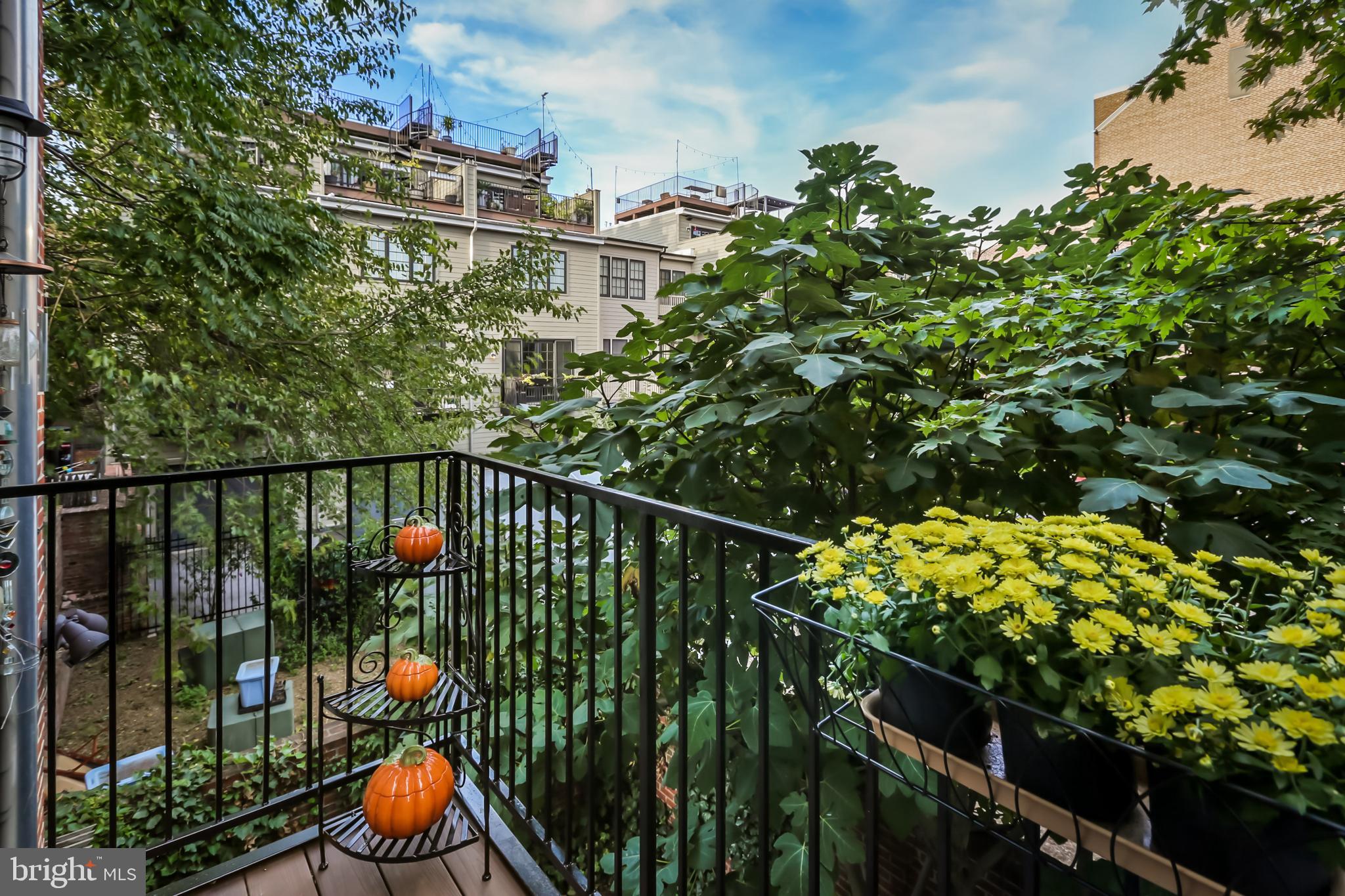 FELLS POINT HISTORIC DISTRICT - Residential