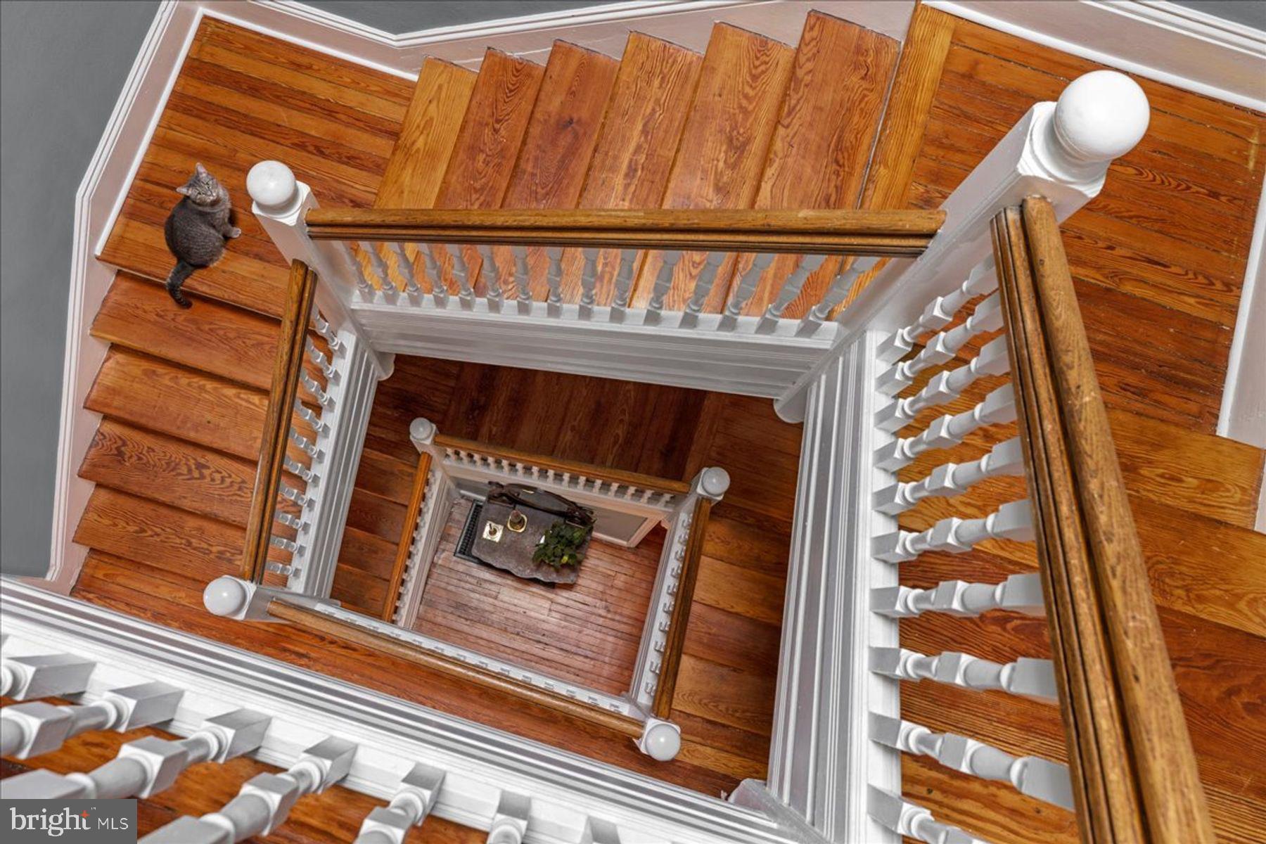 CHESTNUT HILL - Residential