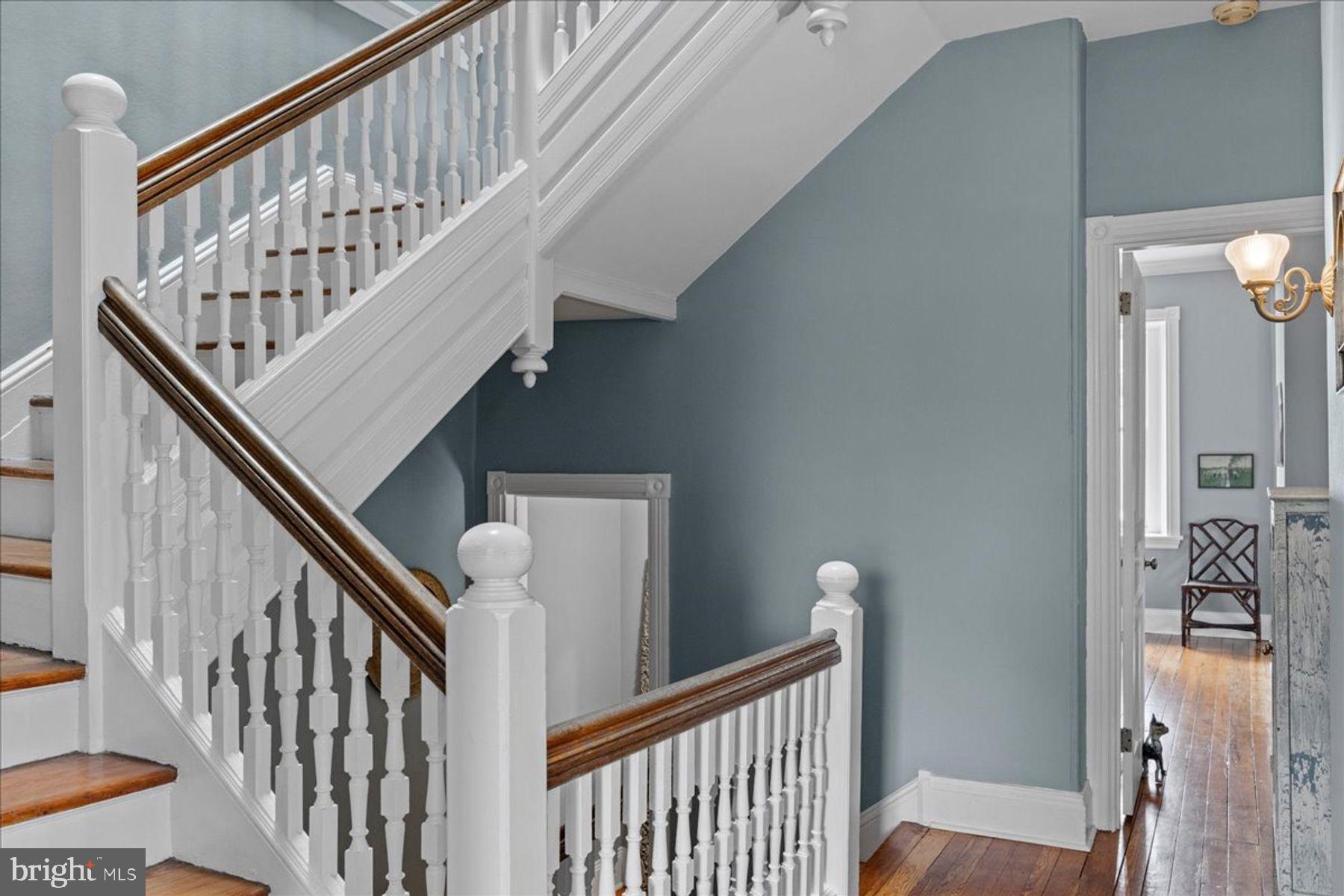 CHESTNUT HILL - Residential