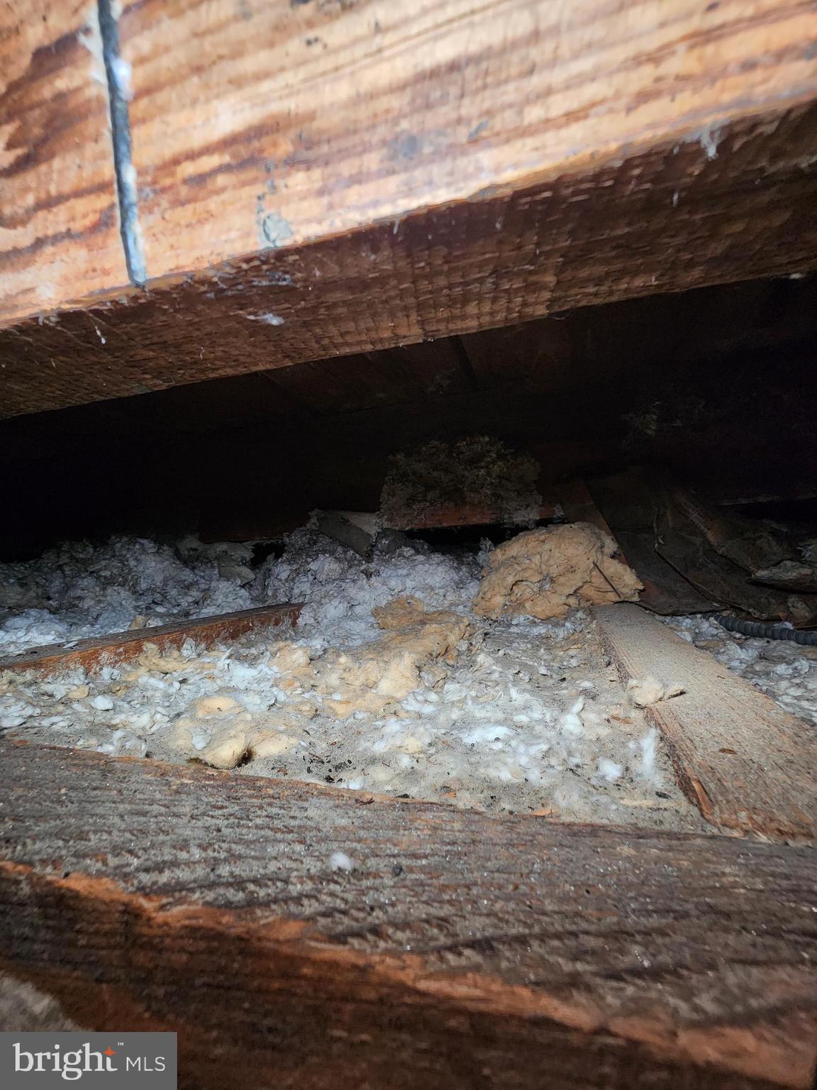 GWYNN FALLS - Residential