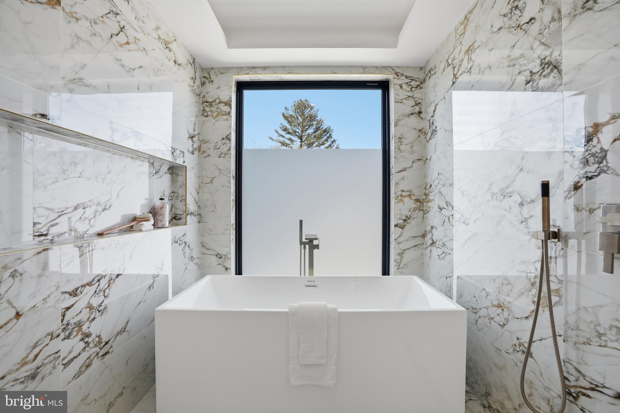 CHEVY CHASE VIEW - Residential