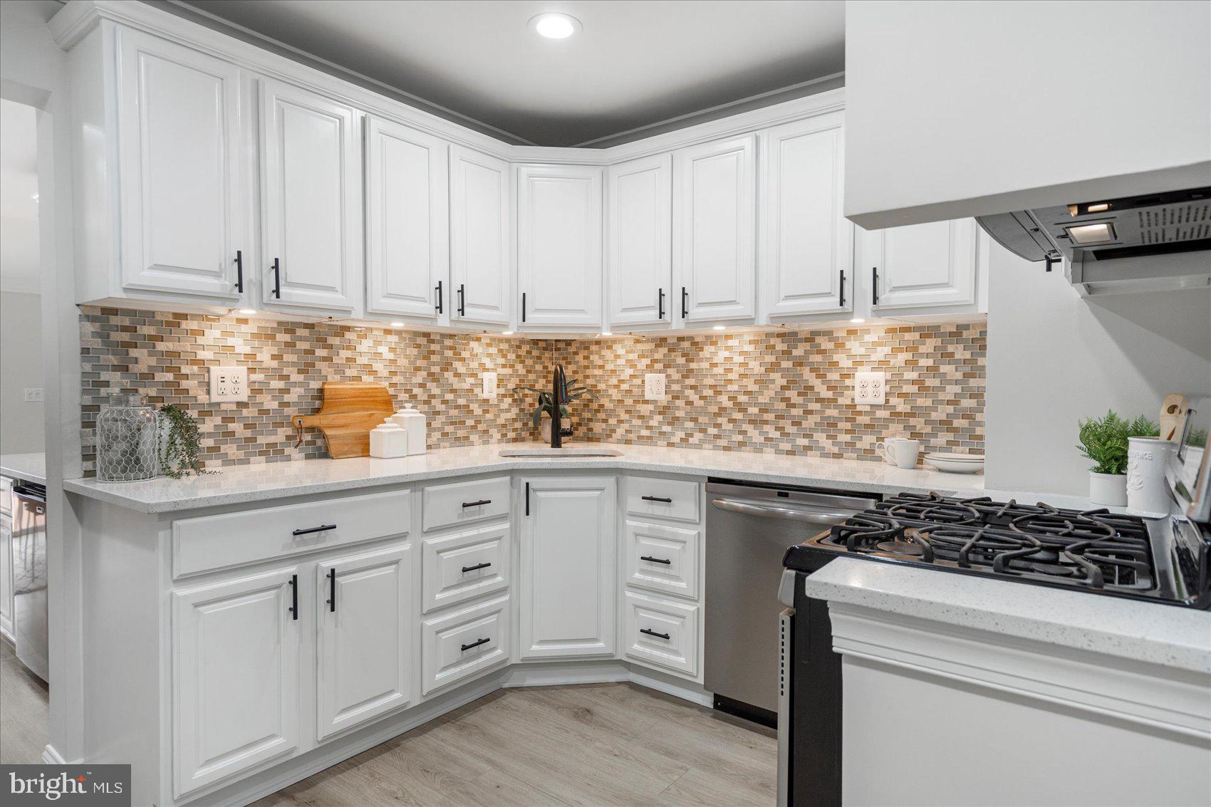 WILLOW SPRING PARK - Residential