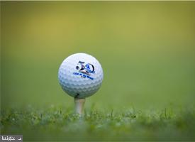 LAKE OF THE WOODS - Land